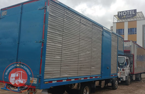 trasteos y mudanzas pereira